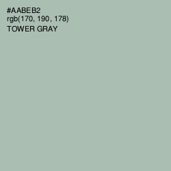 #AABEB2 - Tower Gray Color Image